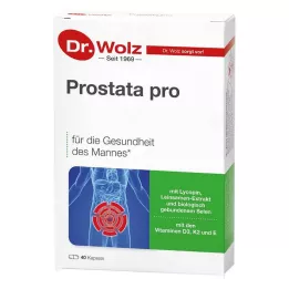 PROSTATA PRO Dr.Wolz kapsulės, 2X20 vnt