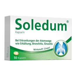 SOLEDUM 100 mg skrandyje neirios kapsulės, 50 vnt