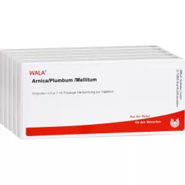 ARNICA/PLUMBUM /Mellitum ampulės, 50X1 ml