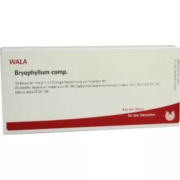 BRYOPHYLLUM COMP.Ampulės, 10X1 ml