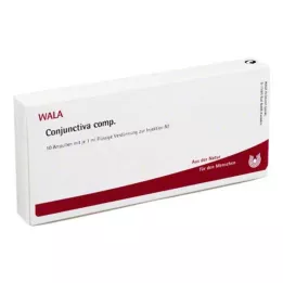 CONJUNCTIVA kompl. ampulės, 10X1 ml