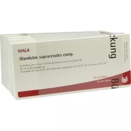 GLANDULAE SUPRARENALES kompozicinės ampulės, 50X1 ml