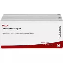 ROSENEISEN/Grafitinės ampulės, 50X1 ml