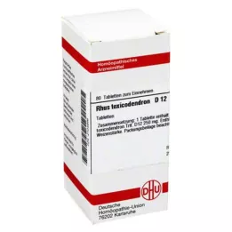 RHUS TOXICODENDRON D 12 tablečių, 80 vnt