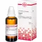 THUJA Motinos tinktūra, 50 ml