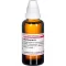 MYRTILLOCACTUS D 1 skiedimas, 50 ml