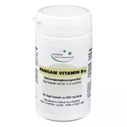 PANGAM Vitaminas B15 kapsulės, 60 vnt