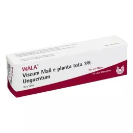 VISCUM MALI e planta tota 3% Unguentum, 30 g