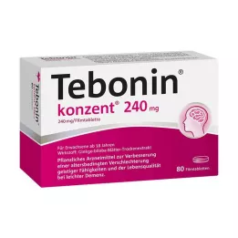 TEBONIN konzent 240 mg plėvele dengtos tabletės, 80 vnt