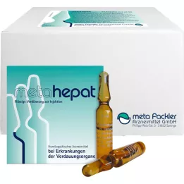 METAHEPAT Injekcinis tirpalas, 500X2 ml