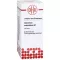 GERANIUM MACULATUM Motinos tinktūra, 20 ml