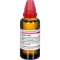 LEDUM EXTERN Tinktūra, 50 ml