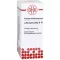 LUFFA OPERCULATA D 10 skiedimas, 20 ml