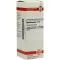 MYRTILLOCACTUS D 4 skiedimas, 20 ml