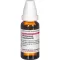 PHELLANDRIUM AQUATICUM D 3 skiedimas, 20 ml