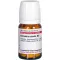 GRINDELIA ROBUSTA D 2 tabletės, 80 vnt