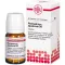 PHELLANDRIUM AQUATICUM D 6 tabletės, 80 vnt