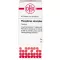PHOSPHORUS AMORPHUS D 8 tabletės, 80 vnt