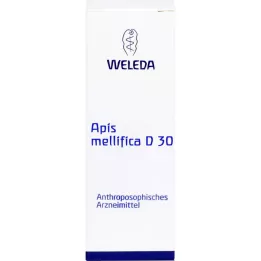 APIS MELLIFICA D 30 Skiedimas, 20 ml