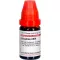 GRAPHITES LM VI Skiedimas, 10 ml