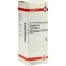 HAMAMELIS D 2 praskiedimas, 50 ml