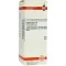 HYPERICUM D 6 Skiedimas, 50 ml