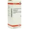 HYPERICUM D 12 Skiedimas, 50 ml