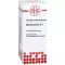 MYRTILLOCACTUS D 3 praskiedimas, 50 ml