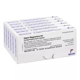 HEPAR MAGNESIUM D 4 ampulės, 48X1 ml