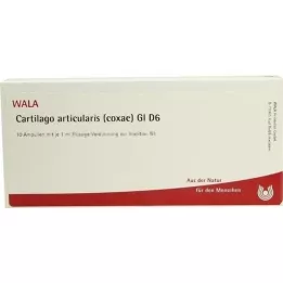 CARTILAGO articularis coxae GL D 6 ampulės, 10X1 ml