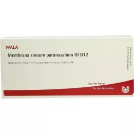 MEMBRANA sinuum paransalium GL D 12 ampulės, 10X1 ml