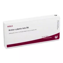 ARNICA E Planta tota D 6 ampulės, 10X1 ml