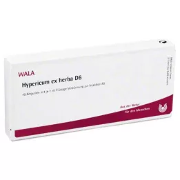 HYPERICUM EX Herba D 6 ampulės, 10X1 ml
