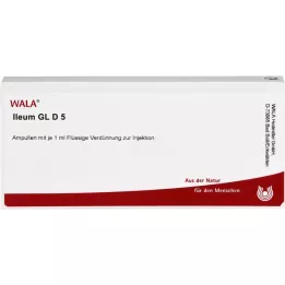 ILEUM GL D 5 ampulės, 10X1 ml