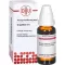 GRAPHITES D 6 Skiedimas, 50 ml