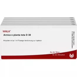 ARNICA E Planta tota D 30 ampulės, 50X1 ml