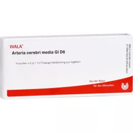 ARTERIA CEREBRI terpė GL D 6 ampulės, 10X1 ml