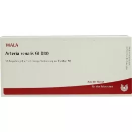 ARTERIA RENALIS GL D 30 ampulės, 10X1 ml