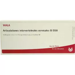 ARTICULATIONES tarpslankstelinis.gimdos kaklelis.GL D 30 Amp., 10X1 ml