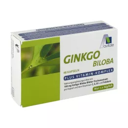 GINKGO 100 mg kapsulės+B1+C+E, 48 vnt
