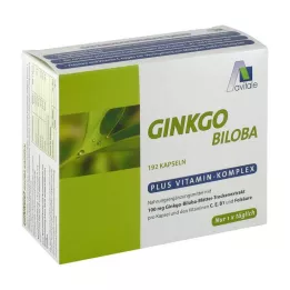 GINKGO 100 mg kapsulės+B1+C+E, 192 vnt