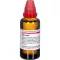 RUTA EXTERN Ekstraktas, 50 ml
