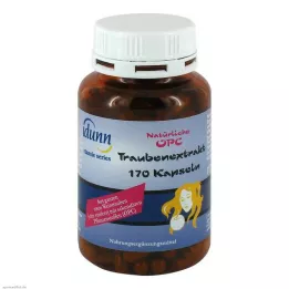 TRAUBENKERNEXTRAKT OPC Kapsulės, 170 vnt