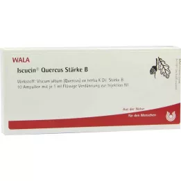 ISCUCIN quercus Strength B ampulės, 10X1 ml