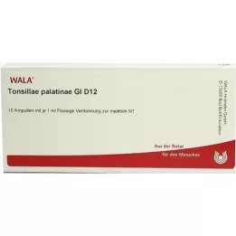 TONSILLAE palatinae GL D 12 ampulės, 10X1 ml