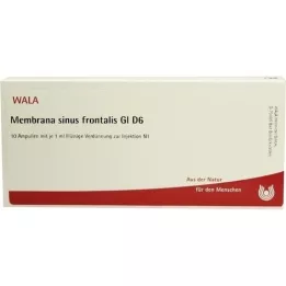 MEMBRANA sinus frontalis GL D 6 ampulės, 10X1 ml