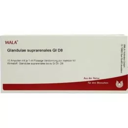 GLANDULAE SUPRARENALES GL D 8 ampulės, 10X1 ml