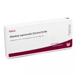 GLANDULA SUPRARENALES žievė GL D 6 ampulės, 10X1 ml