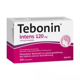 TEBONIN intens 120 mg plėvele dengtos tabletės, 200 vnt