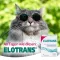 ELOTRANS Milteliai, 10 vnt